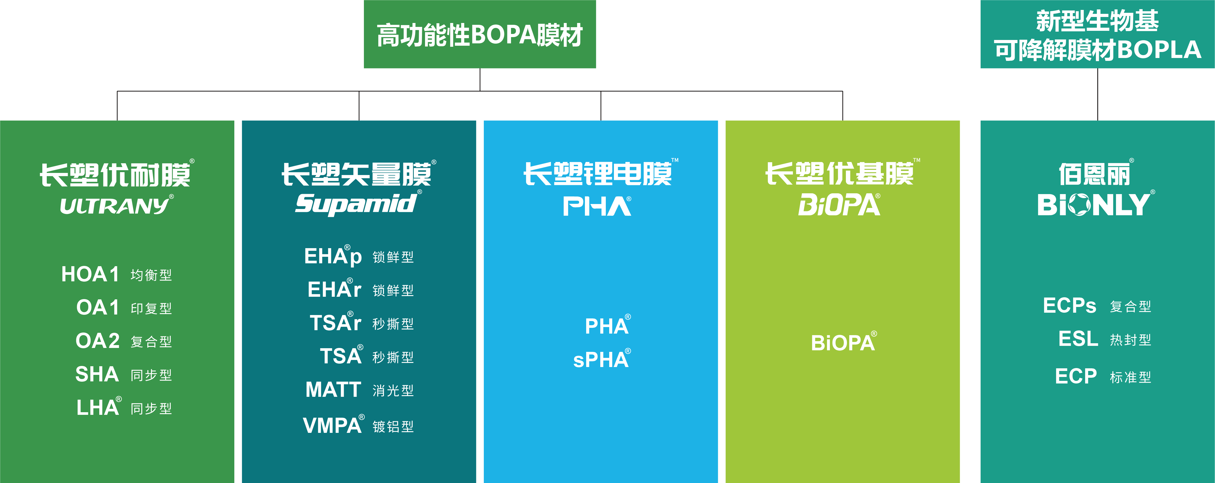 888����(�й�)���޹�˾