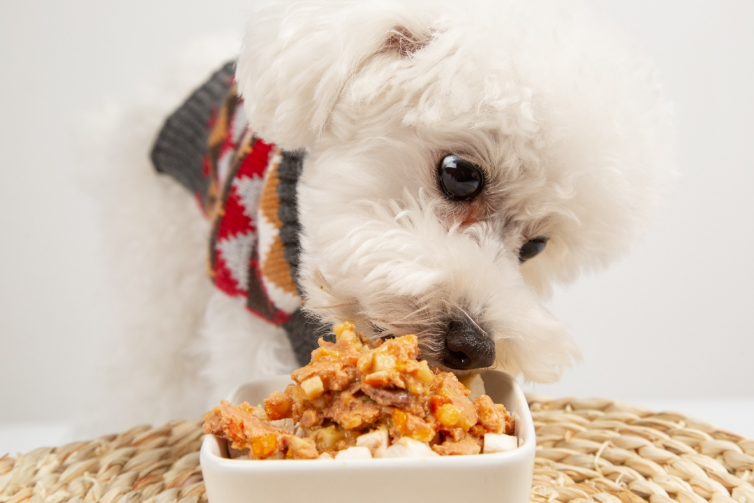 888����(�й�)���޹�˾