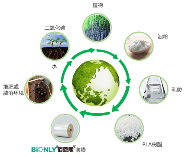 888����(�й�)���޹�˾