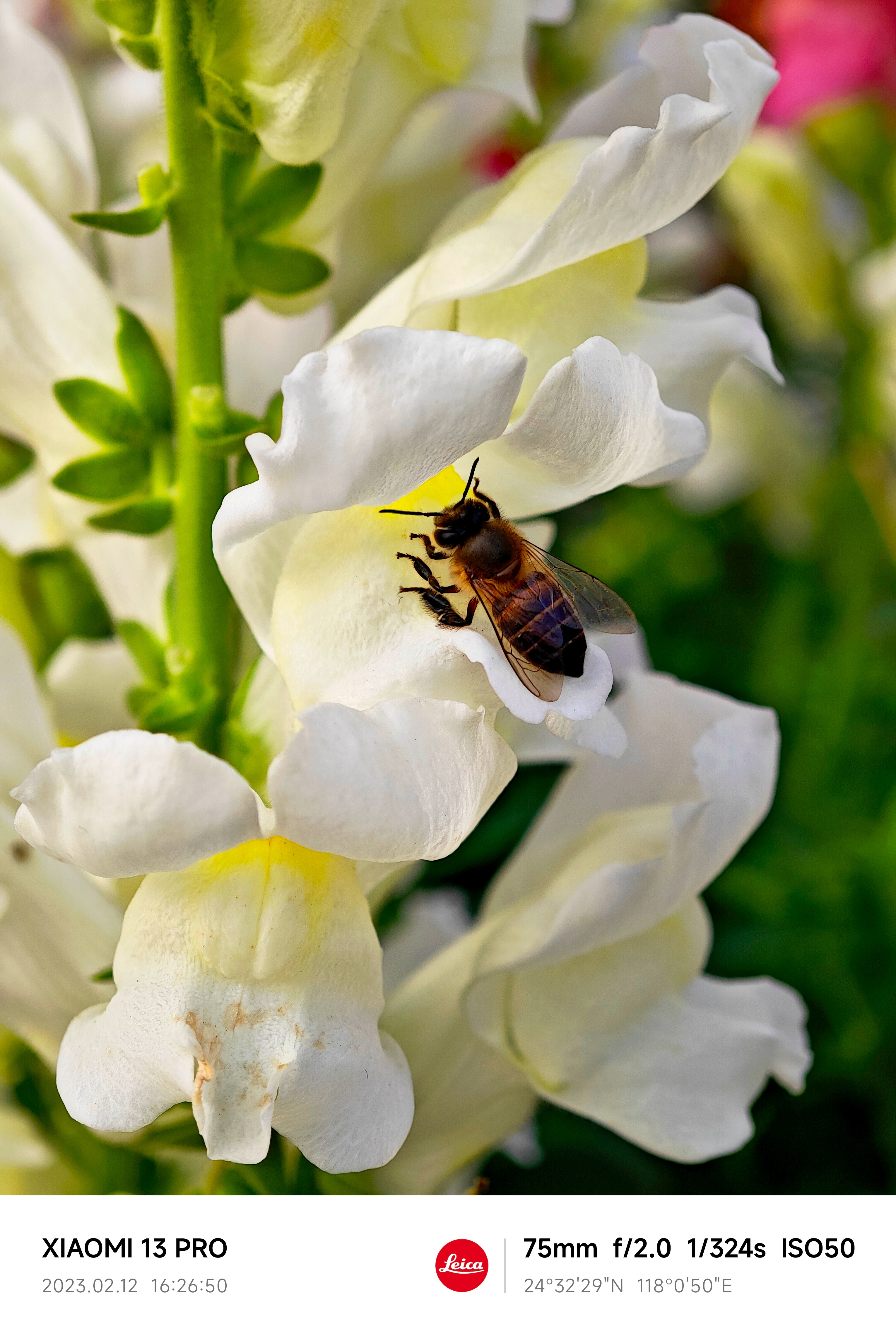 888����(�й�)���޹�˾