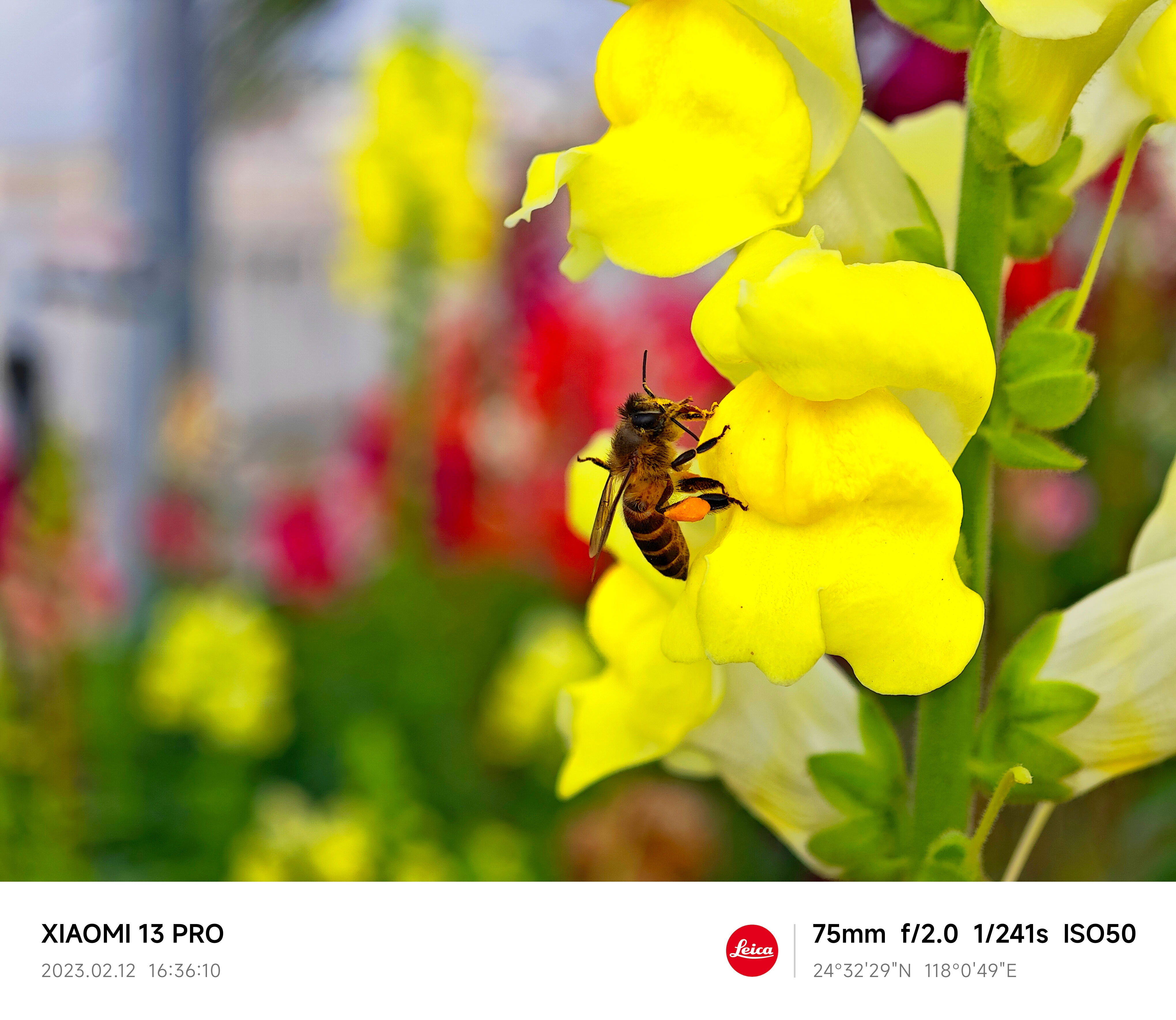 888����(�й�)���޹�˾